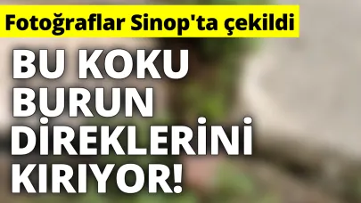 Mahalleli artık dayanamıyor