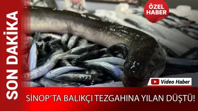 Görenler şaştı kaldı