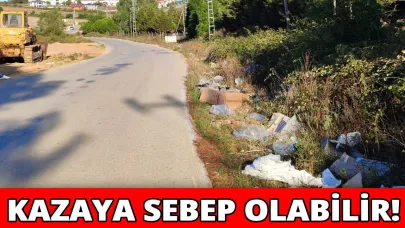 Sinop'ta yol kenarına atılan çöpler tepki çekti
