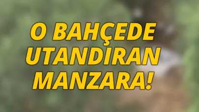 Çöplüğe döndü