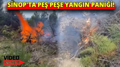 Sinop'ta peş peşe korkutan yangın