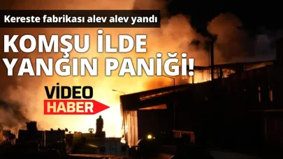 Ekipler seferber oldu! Kereste fabrikası cayır cayır yandı