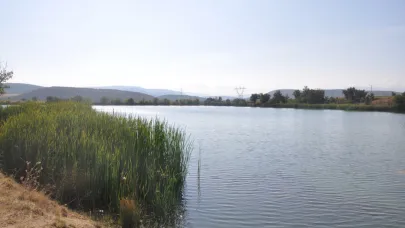 Sinop'ta yanlış uygulama çiftçiyi zorda bıraktı