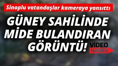 Vatandaşlar o görüntüye isyan etti