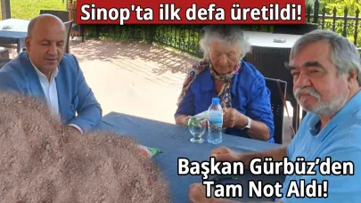 Sinop’ta kara buğdaydan ilk tarhana üretildi!