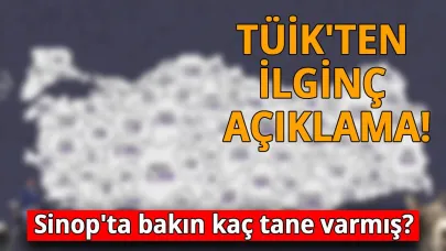Sinop'ta sayıları hızla azalıyor