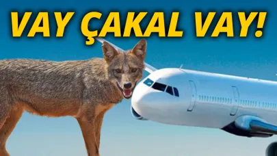 Asıl neden belli oldu