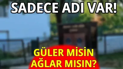 Sinop'ta bir garip çeşme!