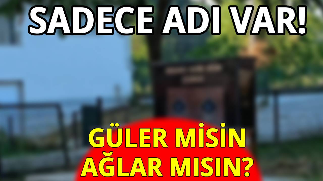 Sinop'ta bir garip çeşme!