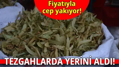 Kış aylarının vazgeçilmezi Sinop'taki tezgahlarda yerini aldı