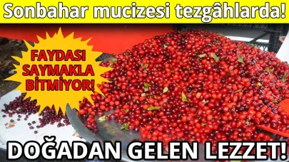 Sinop'ta pazar tezgahları kızılcık ile renklendi
