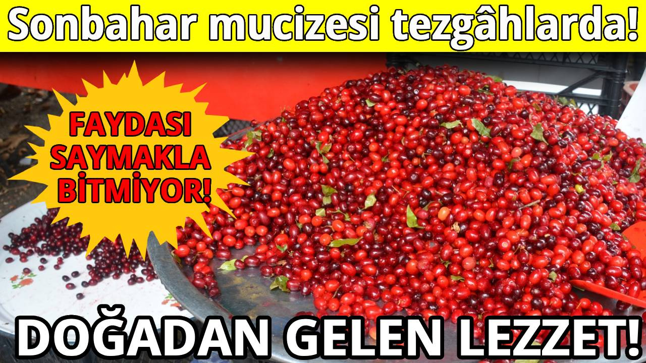 Sinop'ta pazar tezgahları kızılcık ile renklendi