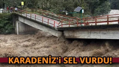 Şiddetli yağış Karadeniz'de sel ve heyelana neden oldu