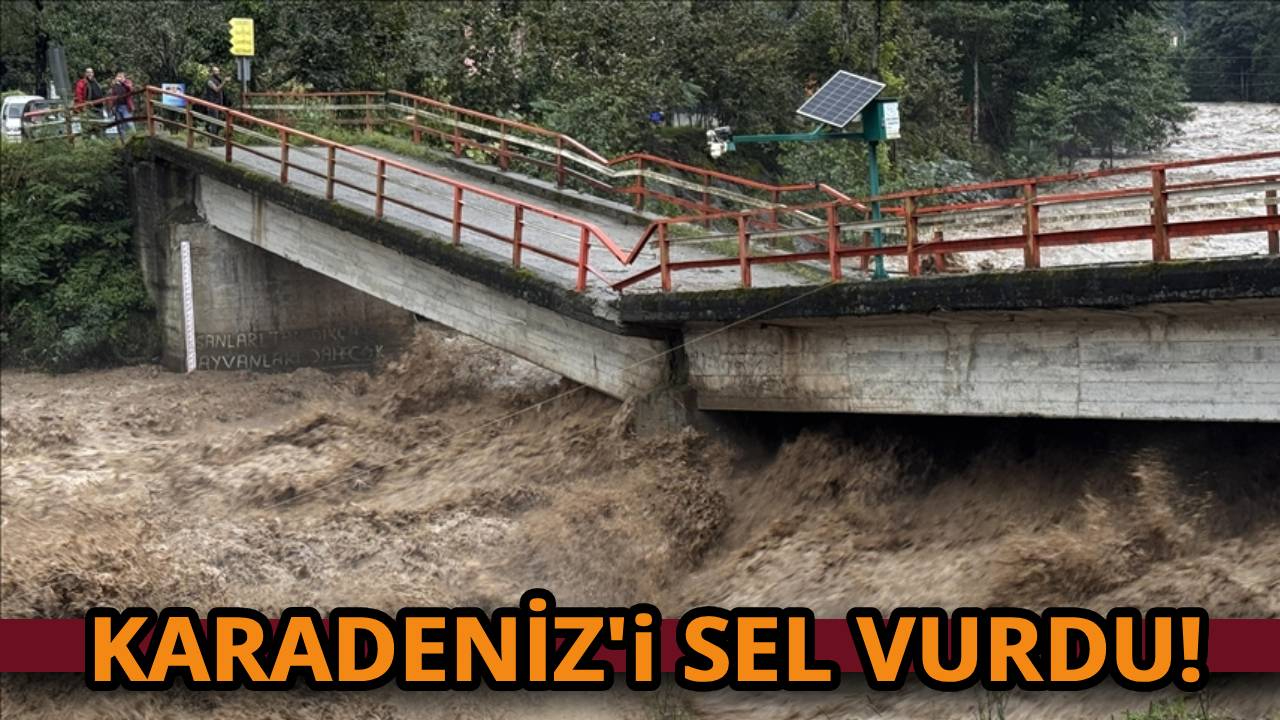 Şiddetli yağış Karadeniz'de sel ve heyelana neden oldu