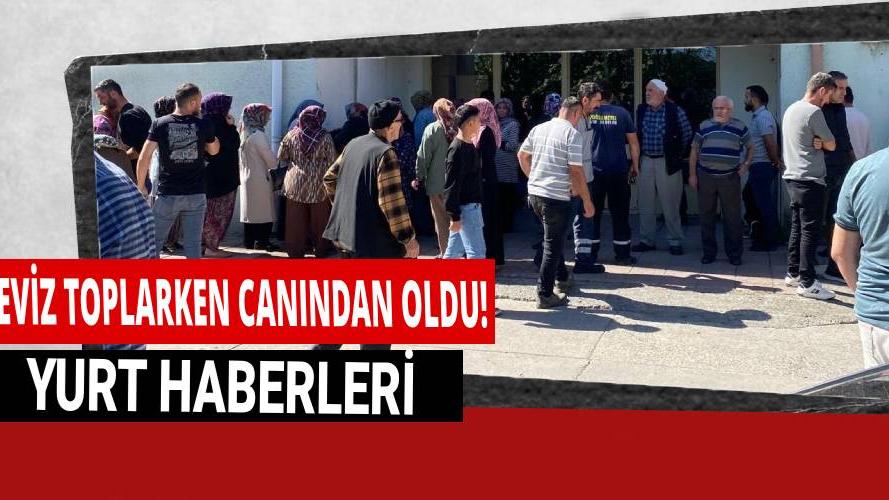 Ceviz toplamak isterken akıma kapılarak can verdi