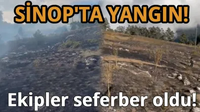 Yaylada yangın paniği!