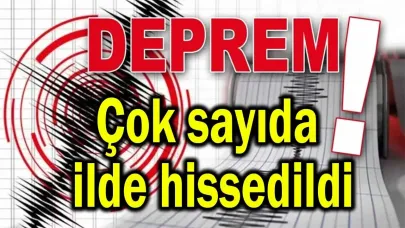 O il 4.9 ile sallandı