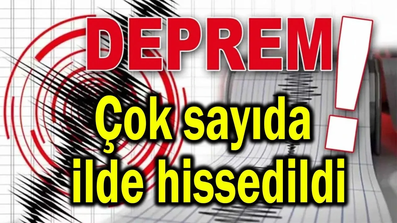 O il 4.9 ile sallandı