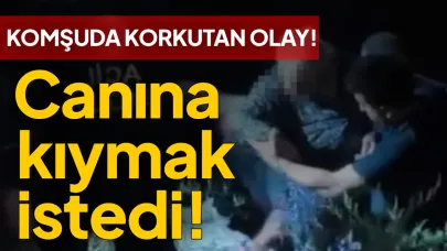 Bunalıma giren kadın ırmağa atladı