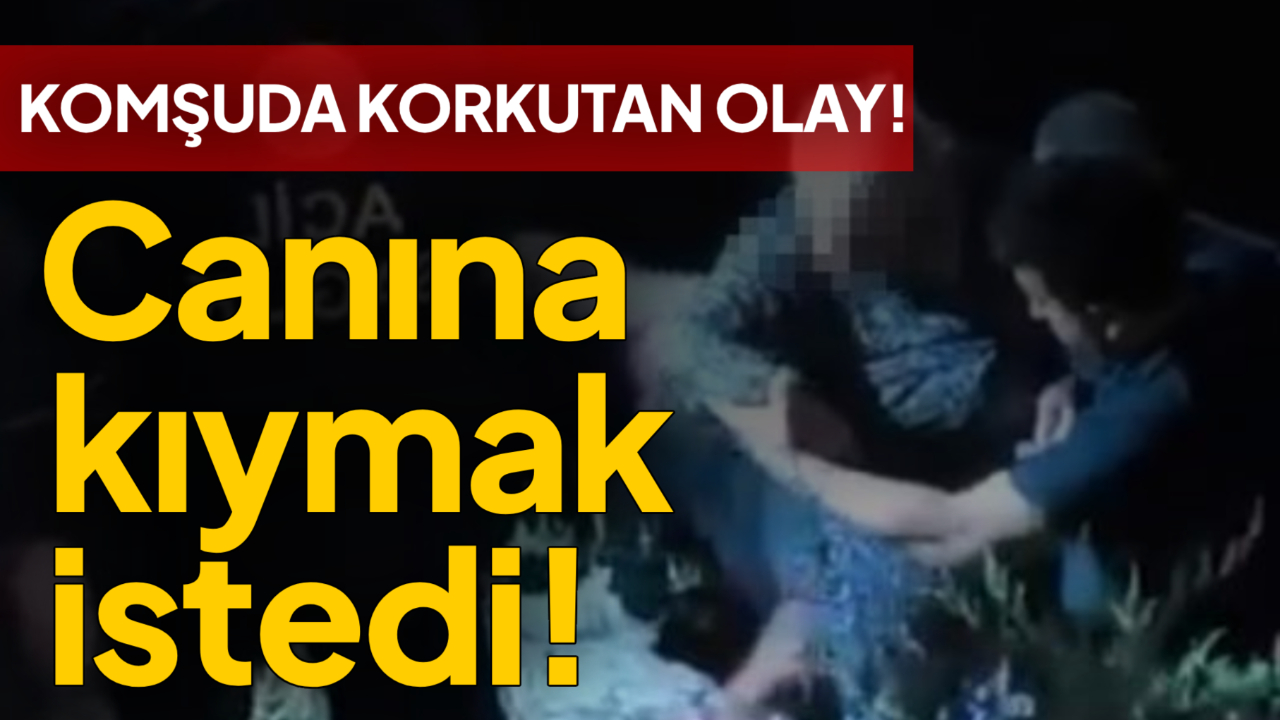 Bunalıma giren kadın ırmağa atladı