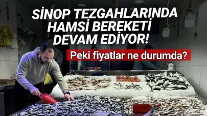 Hamsi bolluğu yüzleri güldürüyor! İşte kilo fiyatı