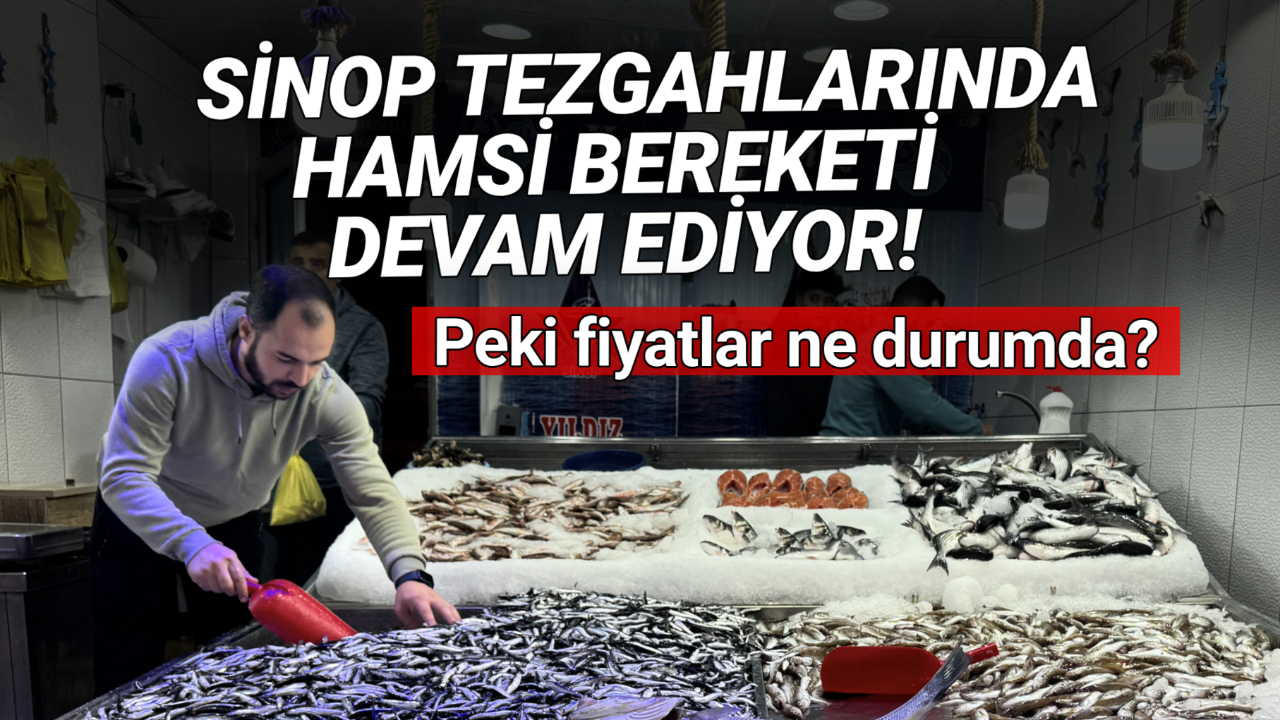 Hamsi bolluğu yüzleri güldürüyor! İşte kilo fiyatı