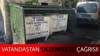 Önemli bir detay
