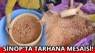 Sinop'ta kadınlar imece usulü tarhana yapımına başladı