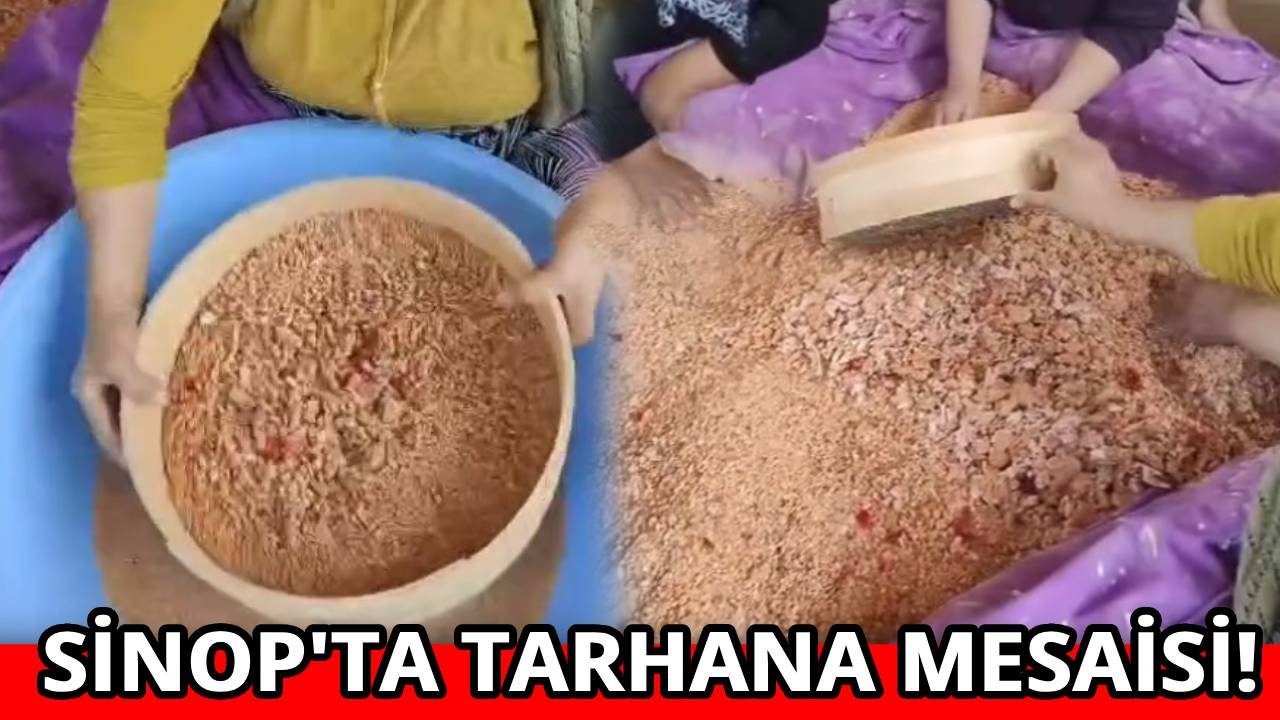 Sinop'ta kadınlar imece usulü tarhana yapımına başladı