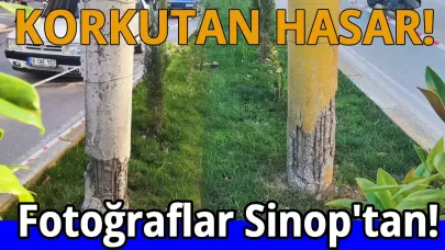 Sinop'ta aydınlatma direkleri ‘Patlamaya Hazır’ bombaya döndü