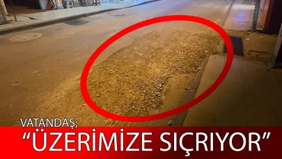 Vatandaştan acil asfalt talebi
