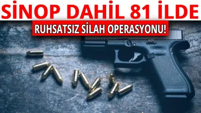 Sinop dahil 81 ilde 'ruhsatsız silah' temizliği!