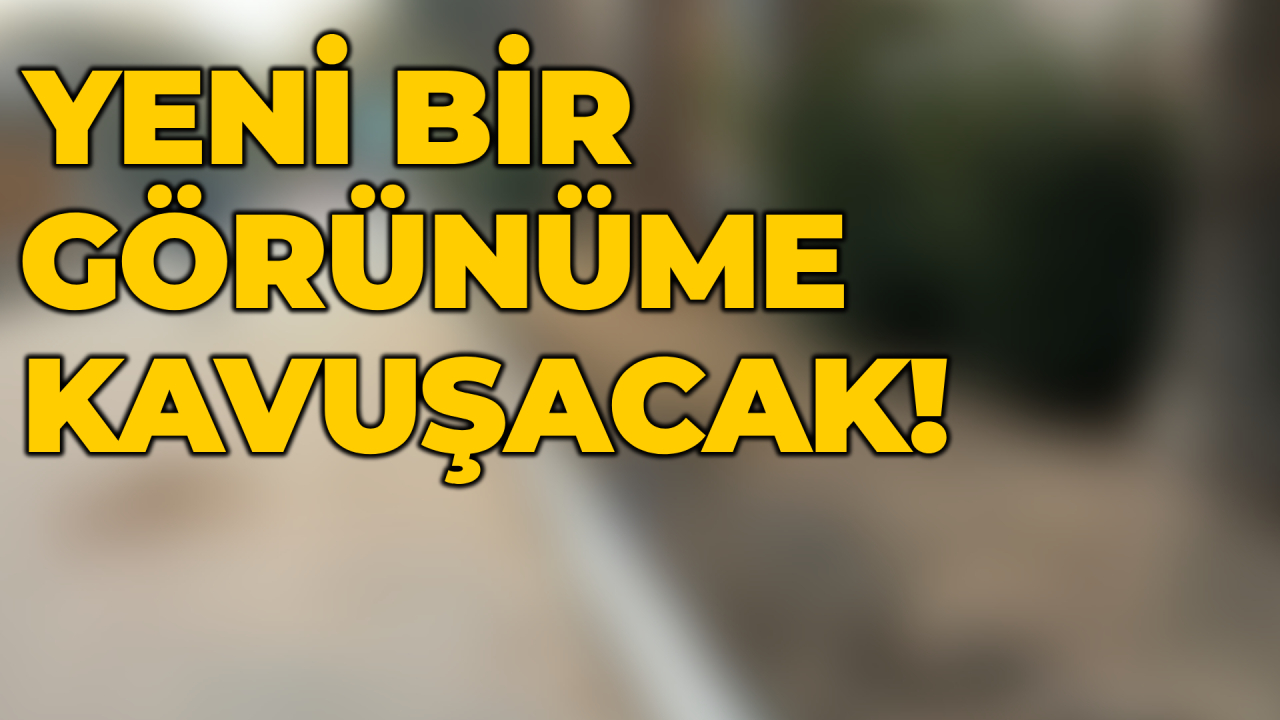 Palmiye ağaçlarının çehresi değişiyor