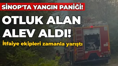 Sinop'ta ot yangını! Çıkan dumanlar panik yaşattı