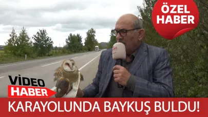 Gözlerinize inanamayacaksınız