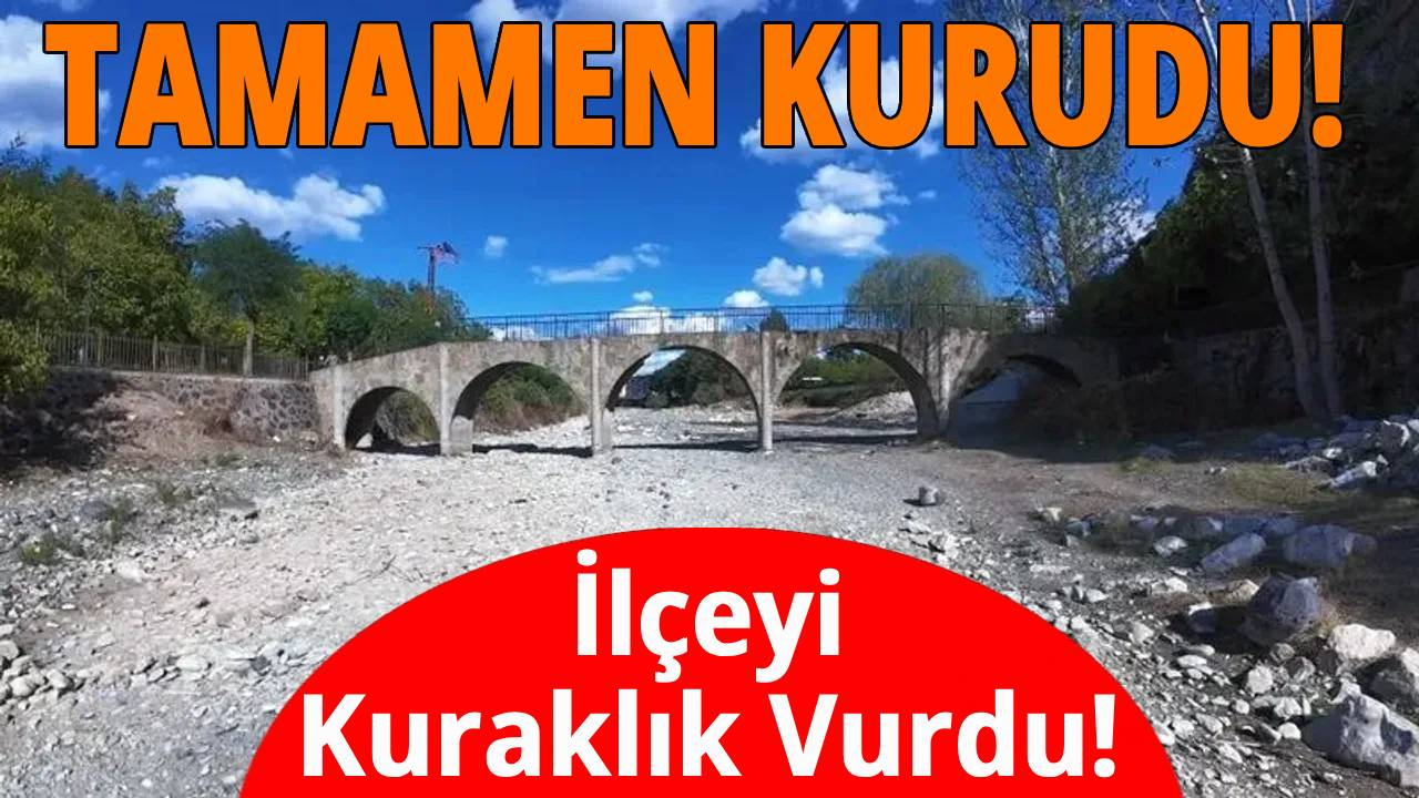İlçede kuraklık alarmı!