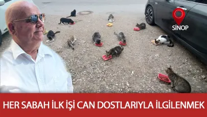 Onlarca kediyi besliyor