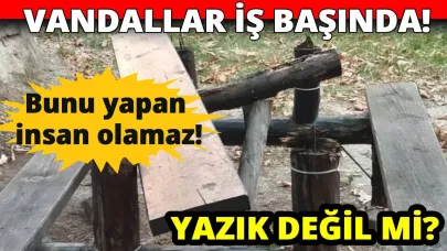 Sinop'ta Vandallar yine iş başında!