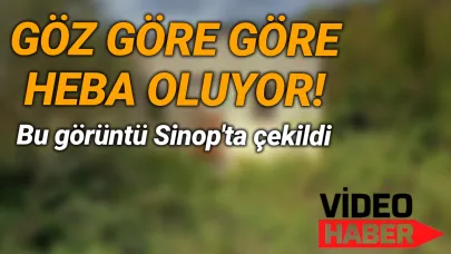 Şu israfa kim dur diyecek?