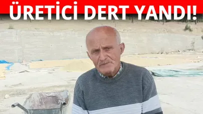 Sinoplu üreticiler dertli!