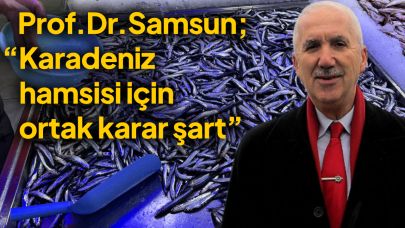 Karadeniz hamsisi tehlikede: 6 ülkeye çağrı