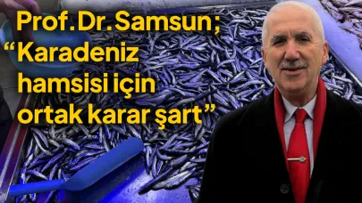 Karadeniz hamsisi tehlikede: 6 ülkeye çağrı
