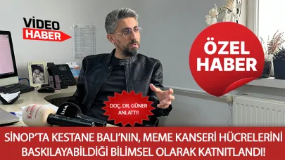 Sinop’un balı artık sadece lezzetiyle değil, şifasıyla da konuşulacak