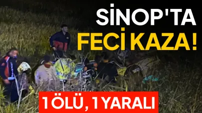 Kontrolden çıkan otomobil tarlaya uçtu: 1 ölü, 1 yaralı