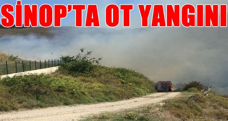 SİNOP’TA OT YANGINI