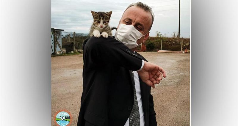 SİNOP BELEDİYESİ’NDEN 'SOKAK HAYVANLARI' AÇIKLAMASI
