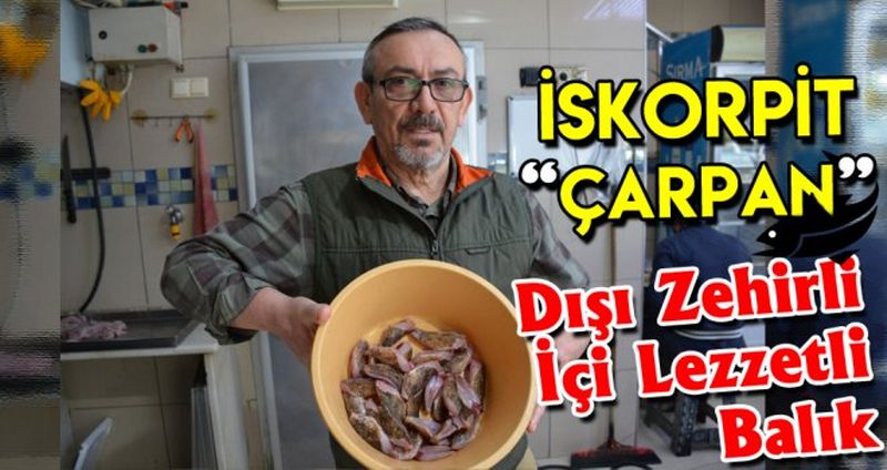 Sinop'ta İskorpit Balığının Kilogramı 55 Liradan Satılıyor