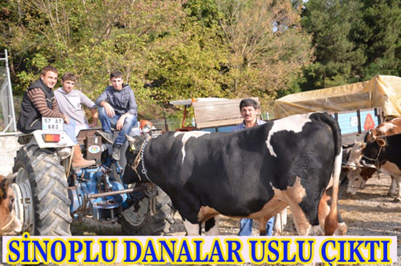 Kurbanlıklar elde kaldı