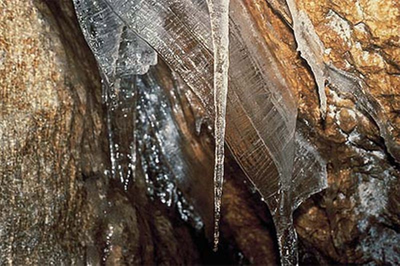“OCAĞIMIZ BUZLUK’U TEHDİT ETMİYOR!”