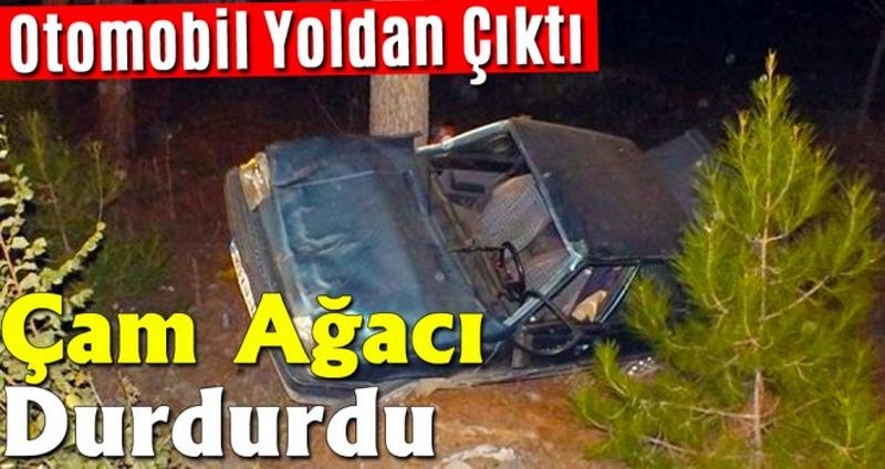 Yoldan Çıkan Otomobili Çam Ağacı Durdurdu